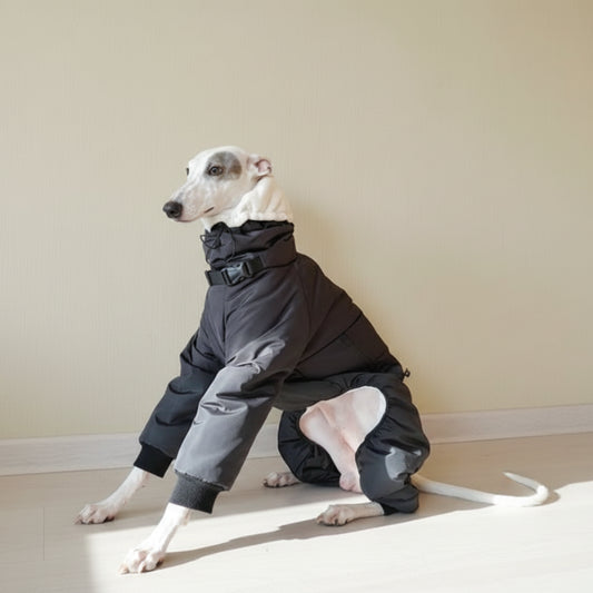 Doudoune matelassée pour lévrier en noir, idéale pour garder votre chien au chaud en hiver.