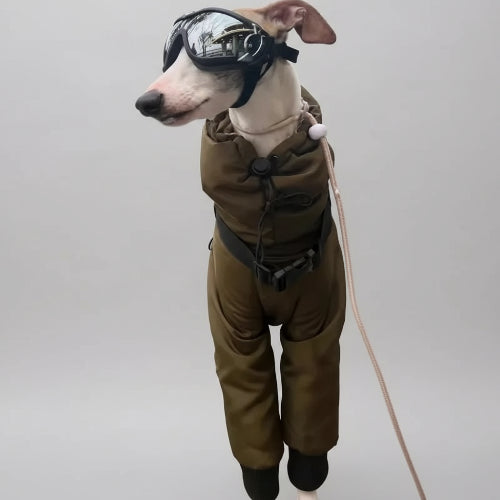 Doudoune pour lévrier Oscar et Plume en style pilote avec lunettes de protection pour chiens