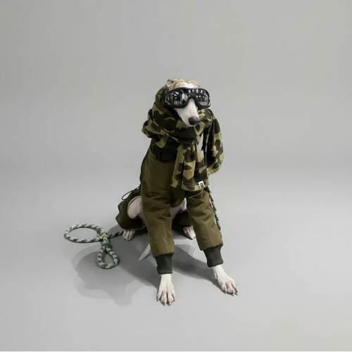 Doudoune pour lévrier avec motifs camouflage, idéale pour garder votre chien au chaud