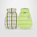 Charger l'image dans la visionneuse de la galerie, Doudoune pour teckel hiver réversible verte et rayée avec col montant pour un confort optimal
