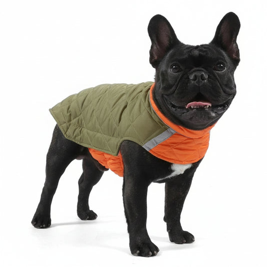 Doudoune réversible pour chien Oscar et Plume en vert et orange, idéale pour garder votre animal au chaud