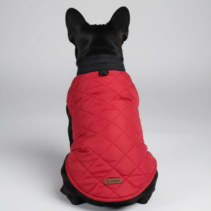 Doudoune réversible pour chien rouge avec col noir, idéale pour les randonnées et les sorties en plein air