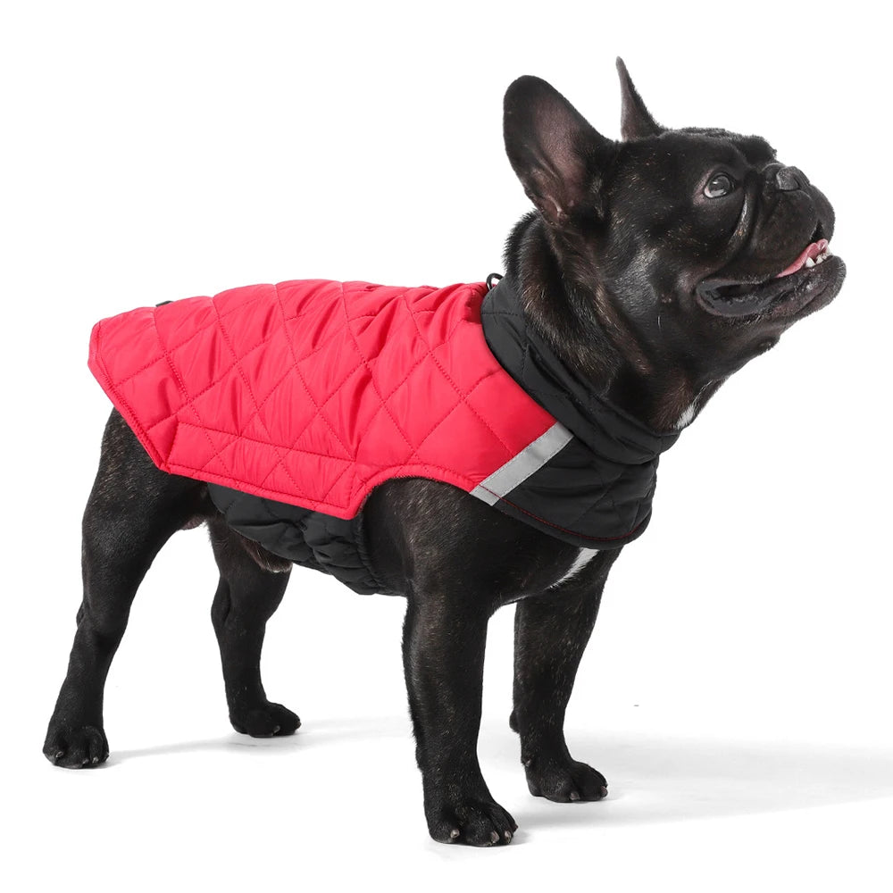 Doudoune réversible pour chien rouge et noir avec des détails réfléchissants pour un look élégant