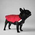 Cargar la imagen en la vista de la galería, Doudoune réversible pour chien en rouge et noir, idéale pour garder votre animal au chaud
