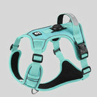 Harnais chien AirTag bleu turquoise avec boucles réglables et support pour localisateur