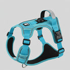 Harnais chien AirTag bleu turquoise avec sangles réglables et boucle de sécurité