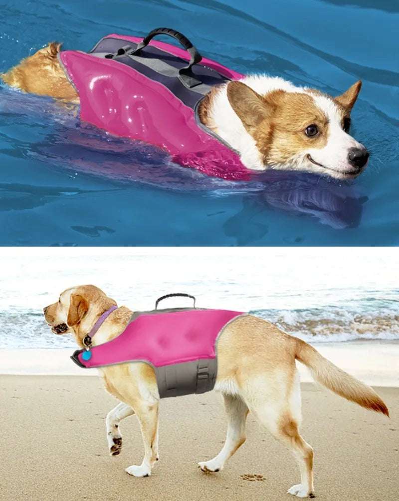 Chien portant un gilet de sauvetage pour chien rose Oscar et Plume dans l'eau et sur la plage