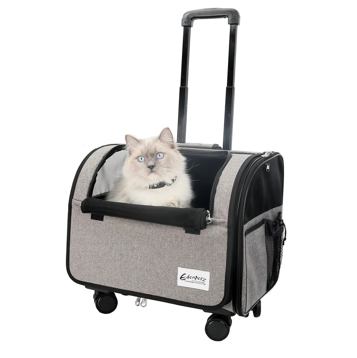 Valise à roulettes de voyage pour chien chat avec chat blanc à l'intérieur et poignée rétractable