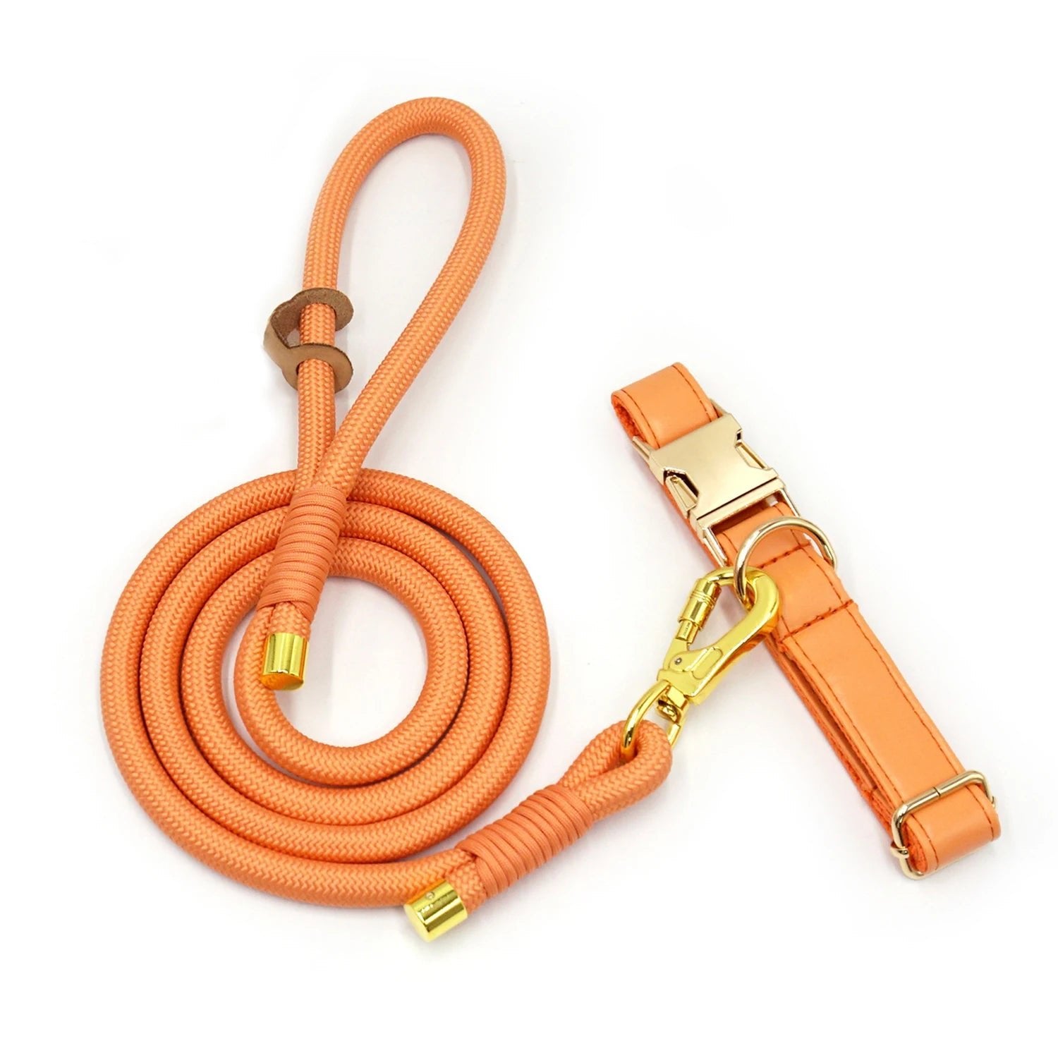 Ensemble Collier en cuir durable personnalisable, laisse et distributeur de sac pour chien - Collier + laisse / XS