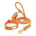 Charger l'image dans la visionneuse de la galerie, Ensemble Collier en cuir durable personnalisable, laisse et distributeur de sac pour chien - Oscar et Plume
