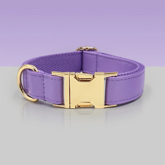 Ensemble Collier en cuir durable personnalisable, laisse et distributeur de sac pour chien - Oscar et Plume