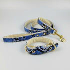 Ensemble collier laisse chic en cuir à motif serpent bleu avec boucle et attache dorées