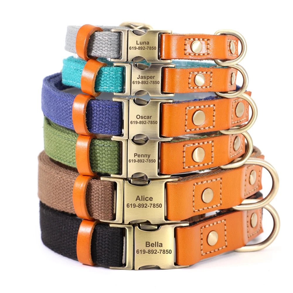 Ensemble de collier et laisse en nylon et cuir personnalisable pour chien Oscar et Plume