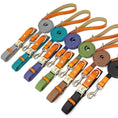 Charger l'image dans la visionneuse de la galerie, Ensemble de collier et laisse en nylon et cuir personnalisable pour chien Oscar et Plume
