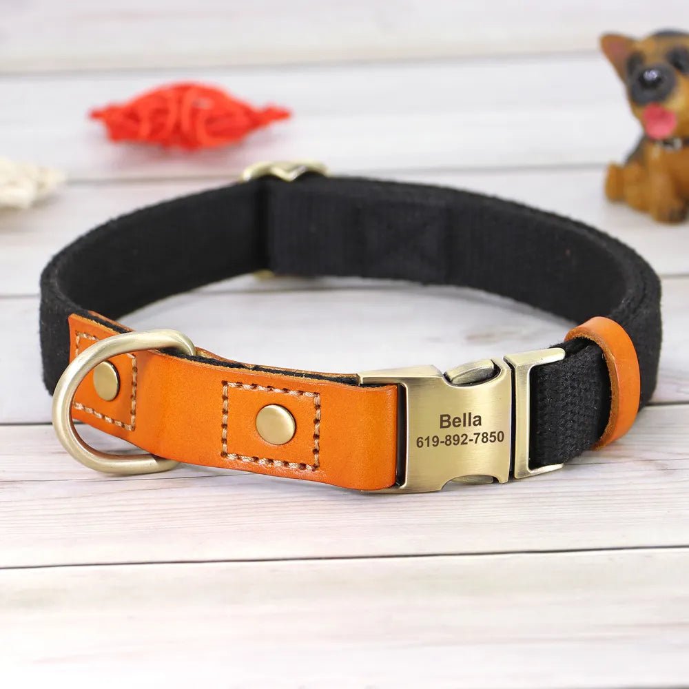 Ensemble de collier et laisse en nylon et cuir personnalisable pour chien Oscar et Plume Collier noir / S