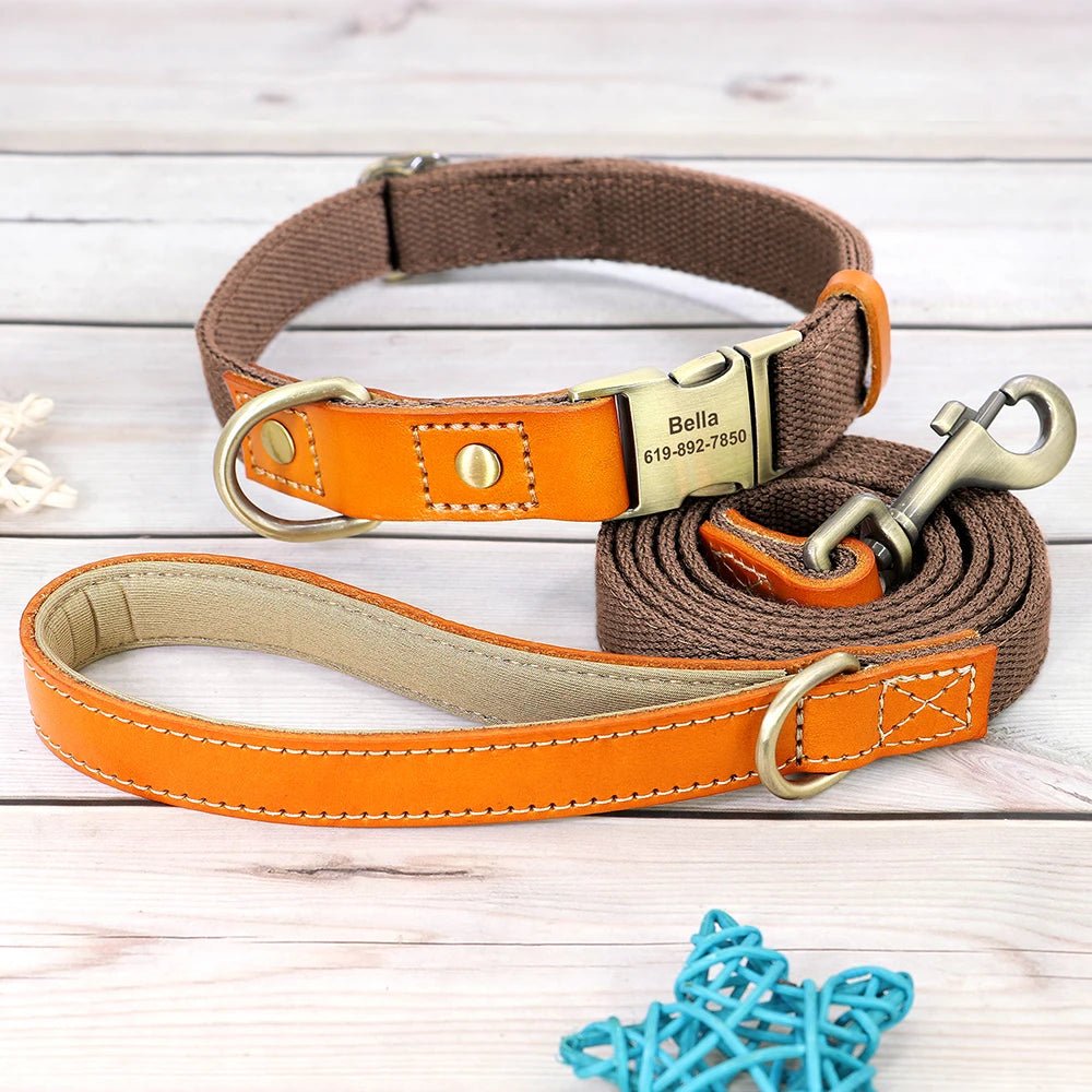 Ensemble de collier et laisse en nylon et cuir personnalisable pour chien Oscar et Plume Collier + laisse marron / S