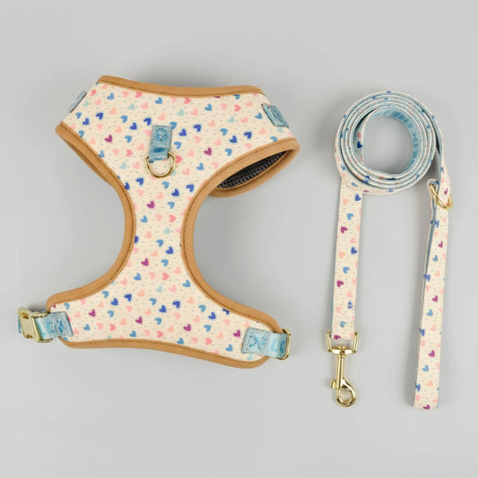 Ensemble harnais et laisse chien Oscar et Plume avec motifs colorés et finitions en tissu beige