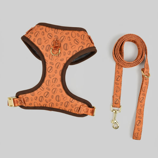Ensemble harnais et laisse chien orange motif grains de café pour promenade confortable