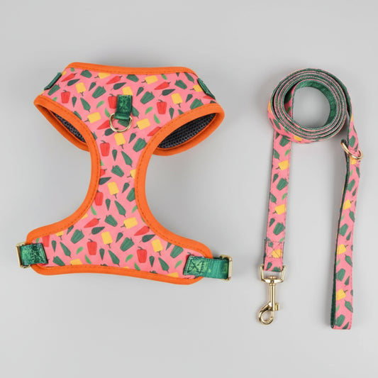 Ensemble harnais et laisse chien Oscar et Plume motif coloré pour promenade confortable