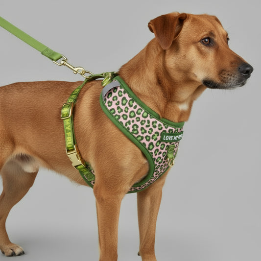Ensemble harnais et laisse chien Oscar et Plume en tissu vert et rose avec motifs fruités