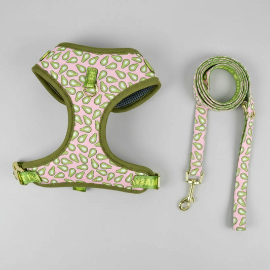 Ensemble harnais et laisse chien Oscar et Plume motif avocat vert et blanc confortable et ajustable
