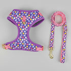Ensemble harnais et laisse chien violet avec motifs de cœurs colorés pour promenade sécurisée
