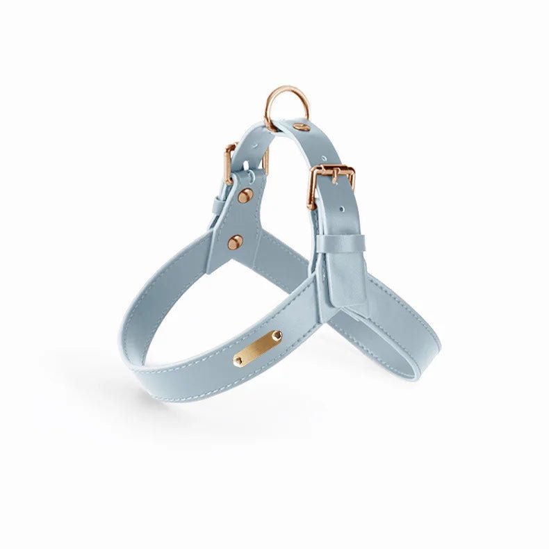 Ensemble harnais et laisse en cuir durable pour chien Oscar et Plume Harnais Bleu / XS