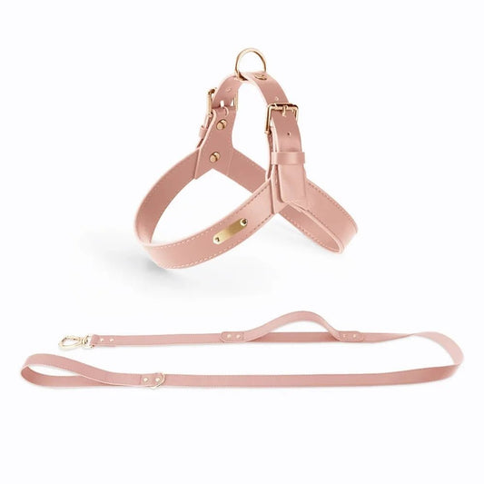 Ensemble harnais et laisse en cuir durable pour chien Oscar et Plume Ensemble Rose / XS