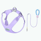 Ensemble harnais et laisse violet pour chien avec poignée perles bleues et fleur rose de Oscar et Plume
