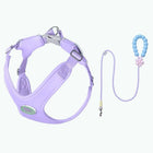 Ensemble harnais et laisse violet pour chien avec poignée perles bleues et fleur rose de Oscar et Plume