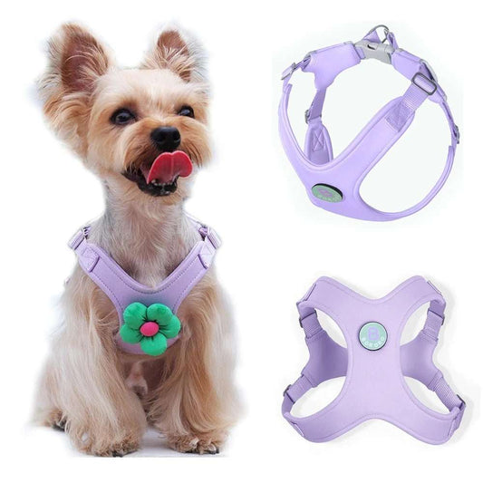 Ensemble harnais et laisse violet pour chien avec décoration fleur verte par Oscar et Plume