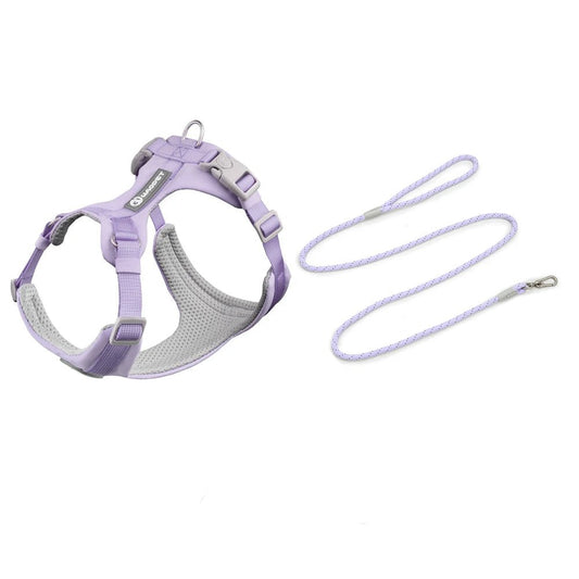 Ensemble harnais et laisse violet pour chien avec rembourrage confortable et réglable par Oscar et Plume