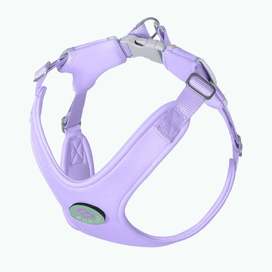 Ensemble harnais et laisse lavande pour chien avec réglages ajustables et fermeture sécurisée