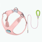 Ensemble harnais et laisse rose pour chien avec design confortable et boucle ajustable