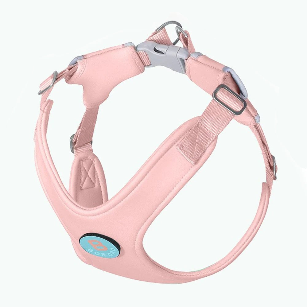 Harnais Ski Jeu Extérieur Lot De 2 Laisses De Cheval Pour Enfants Violet - Harnais Jeu Équitation Pour Filles Et Garçons