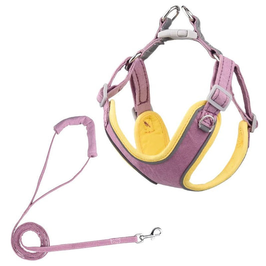 Ensemble Harnais et Laisse pour chien et chiot Oscar et Plume Violet-Jaune / 2XS