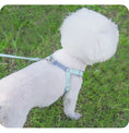 Load image into Gallery viewer, Ensemble Harnais et Laisse pour chien et chiot Oscar et Plume Bleu-Jaune / 2XS
