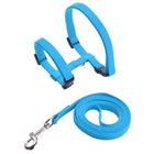 Ensemble harnais et laisse pour chien bleu en nylon léger et résistant Oscar et Plume