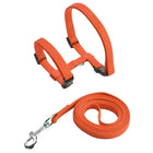 Ensemble harnais et laisse pour chien orange de la marque Oscar et Plume avec fermeture réglable