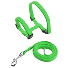 Ensemble harnais et laisse pour chien en nylon vert réglable avec clip métal