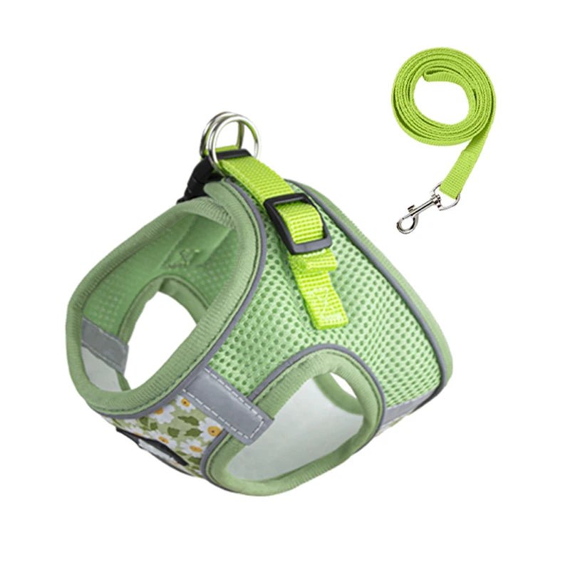 Ensemble harnais et laisse réfléchissant pour chat et chien Oscar et Plume vert / XS (1-1.5 kg)