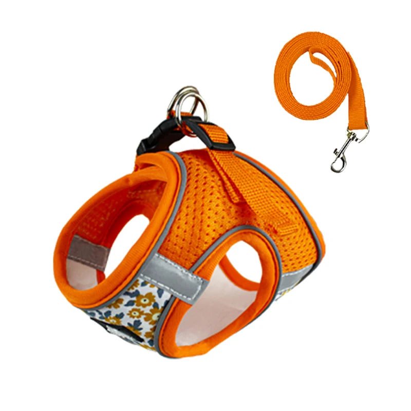 Ensemble harnais et laisse réfléchissant pour chat et chien Oscar et Plume Orange / XS (1-1.5 kg)