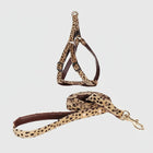 Ensemble harnais laisse design petit chien motif léopard par Oscar et Plume
