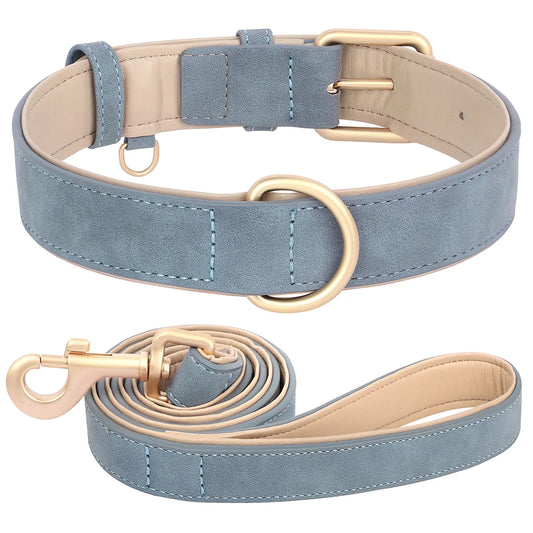 Ensemble laisse et collier chien en suède bleu avec boucles en métal doré pour un style élégant