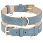Ensemble laisse et collier chien en simili cuir bleu avec finitions dorées élégantes