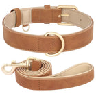 Ensemble laisse et collier chien en cuir marron avec finitions dorées élégantes