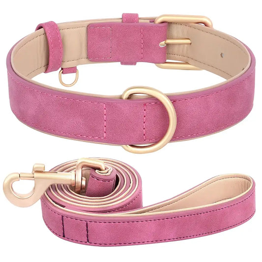 Ensemble laisse et collier chien en simili cuir rose avec finitions dorées pour sortir avec style