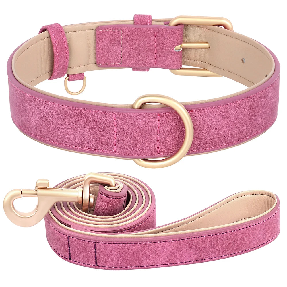 Ensemble laisse et collier chien en simili cuir rose avec finitions dorées pour sortir avec style
