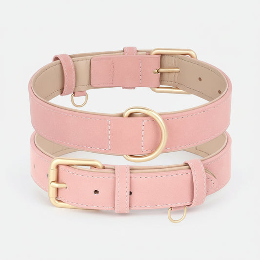 Ensemble laisse et collier chien en cuir rose avec détails dorés pour un look élégant