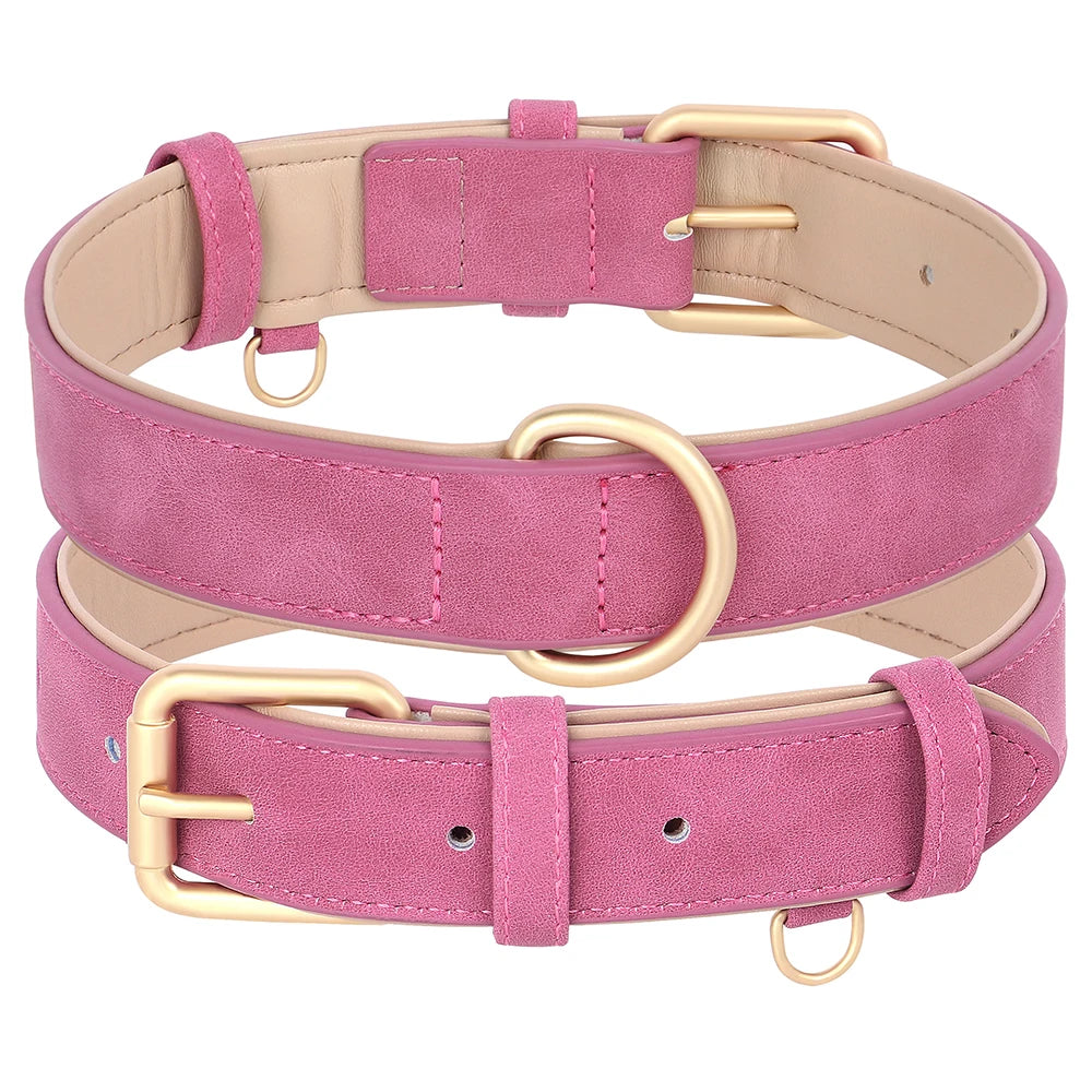 Ensemble laisse et collier chien en cuir rose avec finitions dorées pour promenades élégantes